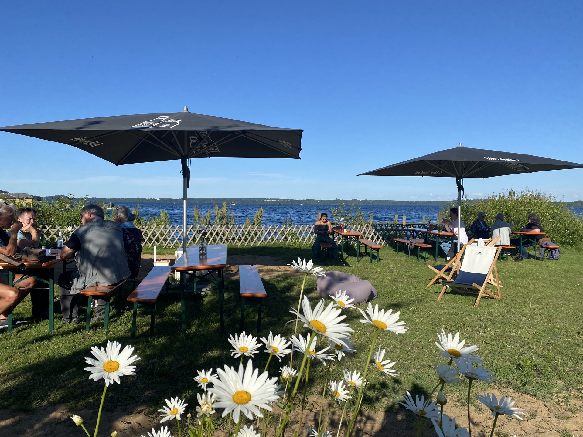 Der Garten vom Anker Zwei mit Liegestühlen.